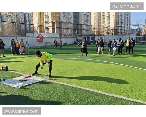 飞盘盛宴:深入了解南京飞盘队的训练与比赛状态