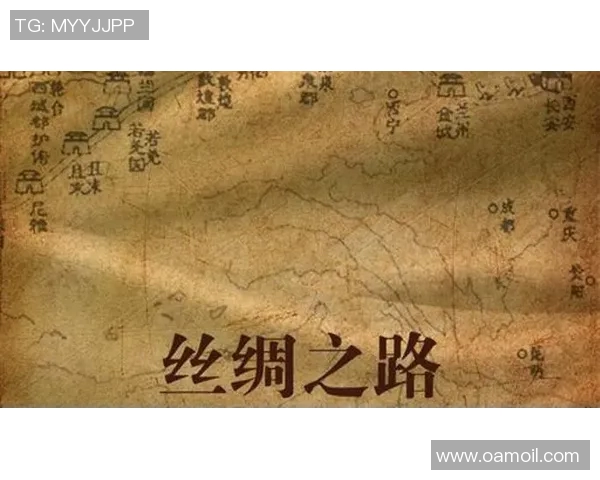 代怀博：探索新兴科技与传统文化的交融之路