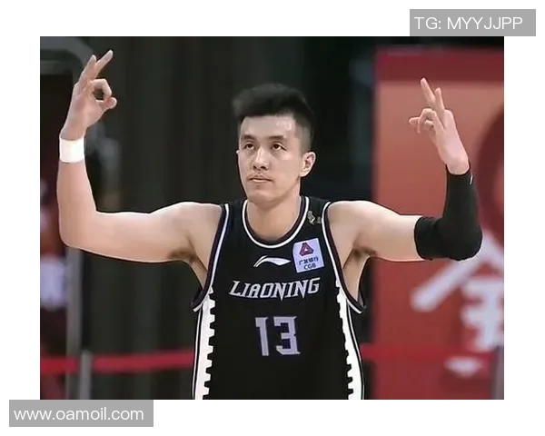 北京对阵辽宁总决赛精彩直播全程回顾与分析